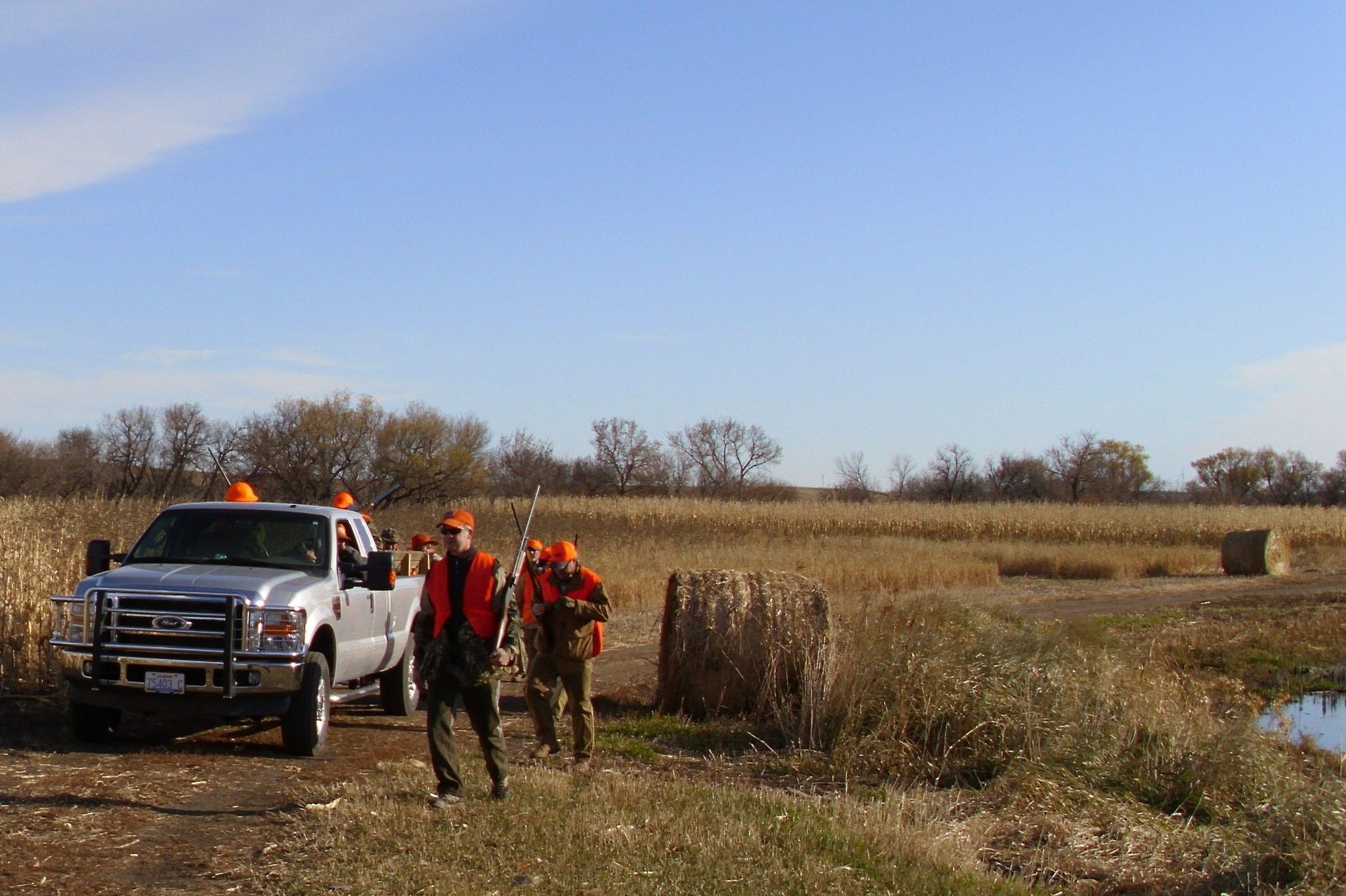 South Dakota Pheasant Hunt Photo Gallery Mitchell, SD